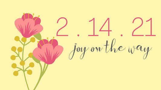 New Joy: The Alegria Launch