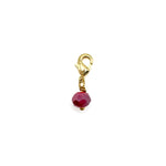 Familia Gold Birthstone Charms - January