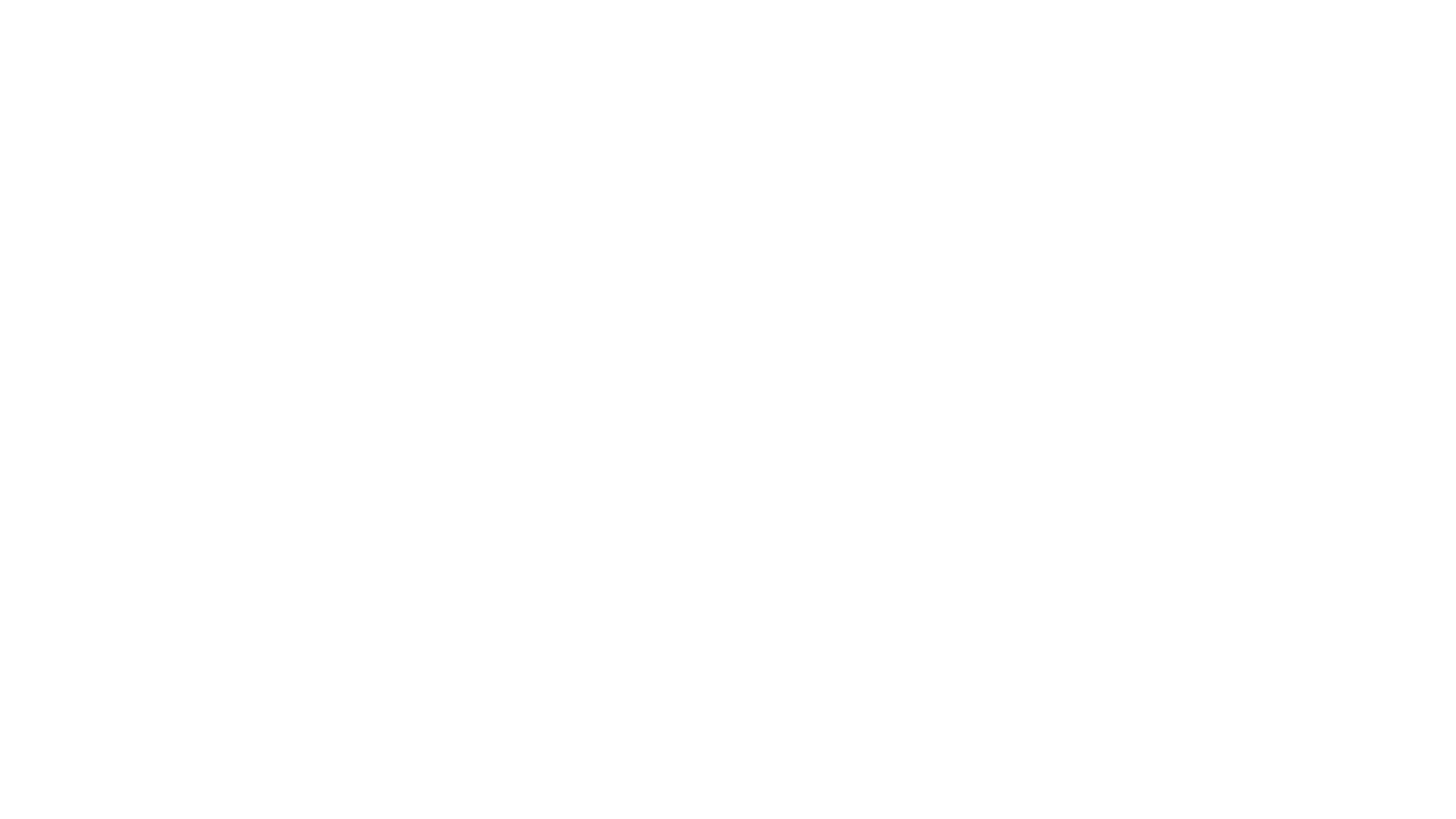 Alegria Accessories Inc