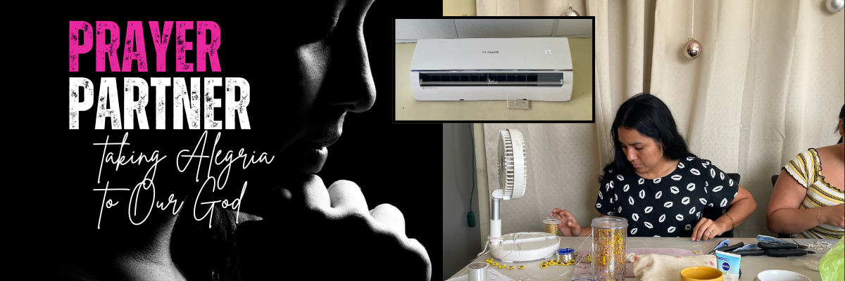 The Little Air Conditioner that Gave Its All