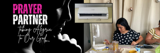 The Little Air Conditioner that Gave Its All